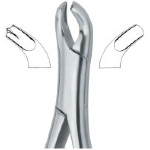 Harris Molars , Right 18R