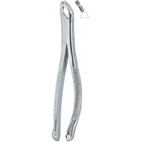 Bicuspids and Incisors, Roots 150AS